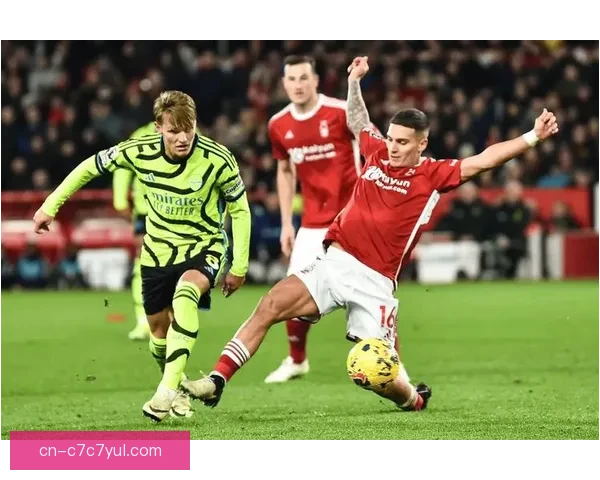 西汉姆联今夏或酝酿阵容大洗牌